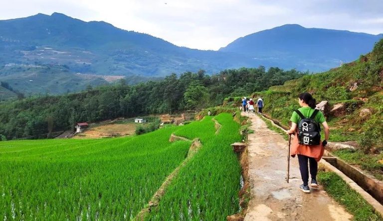 SAPA 2 DAYS 1 NIGHT – TREKKING & BUNGALOW EXPERIENCE