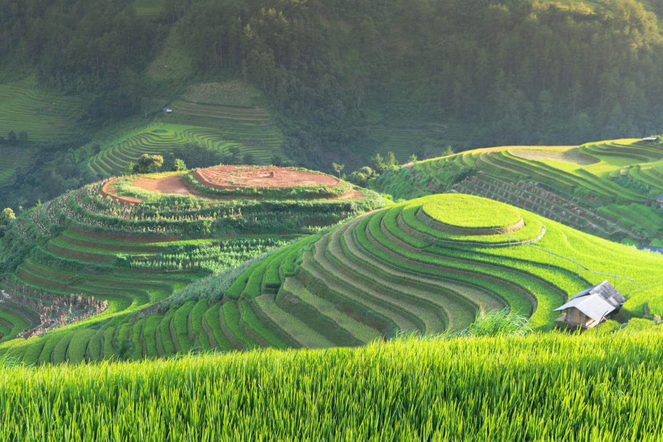 Sapa 3 Days 2 Nights Tour from Hanoi – Hotel Stay & Village Trekking
